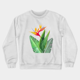 Tropical strelitzia Bird of Paradise flower  watercolor illustration Crewneck Sweatshirt